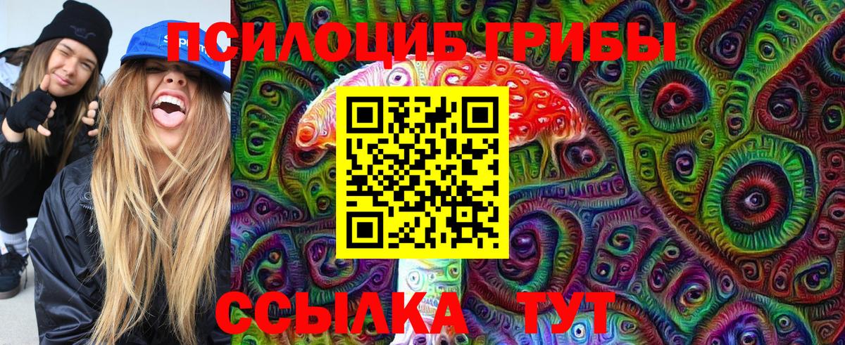 Галлюциногенные грибы Psilocybine cubensis  Галлюциногенные грибы ЛСД  Нижнеудинск  где продают   Вход с VPN 